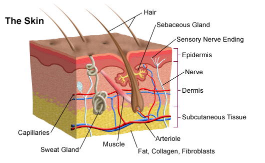 Melanoma And Other Skin Conditions - Men's Health Week